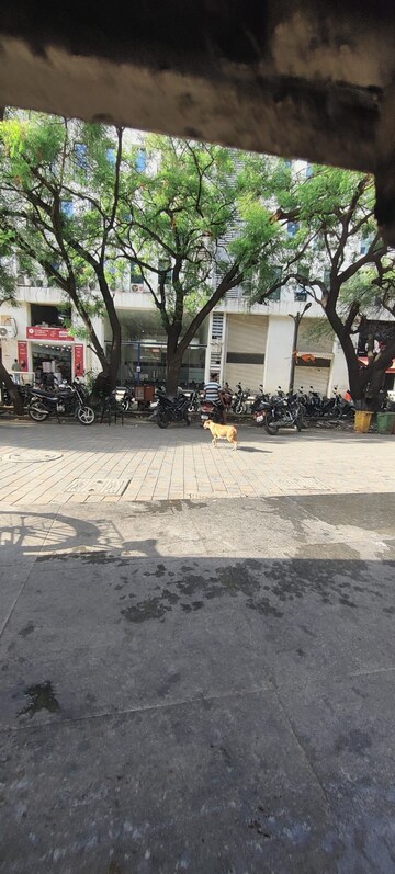  Shop – Exterior View View at Kolte Patil Xenia, Kharadi - for Sale