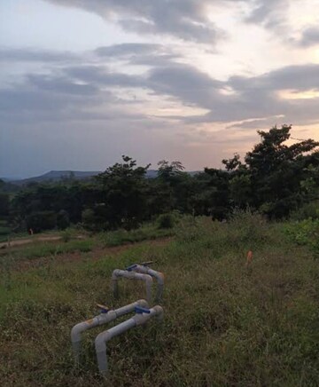 Plot Area in  Plot at Hoskote – for Sale