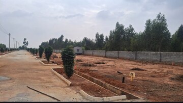 Plot Area in  Plot at Hoskote – for Sale