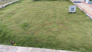 Plot Area in  Plot at Hoskote – for Sale