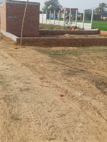 Plot Area in  Plot at Nacholi – for Sale