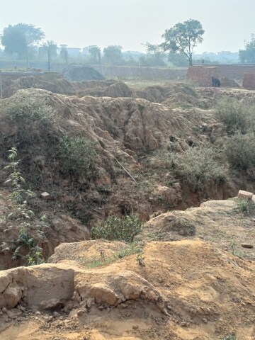 Plot Area in  Plot at Nacholi – for Sale