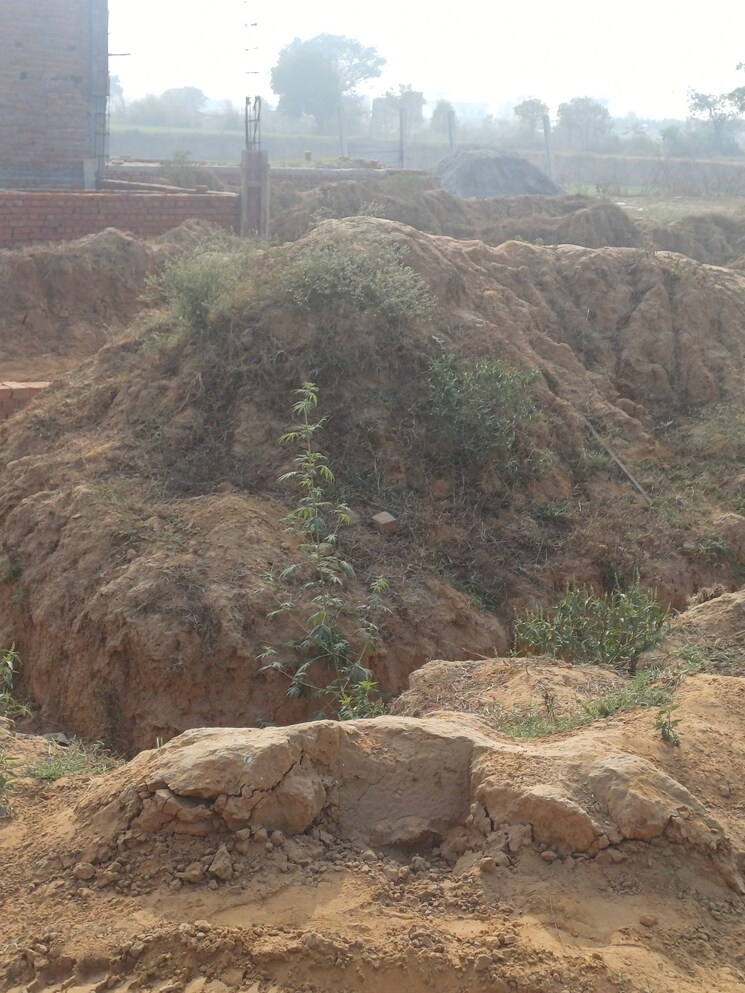 Garden, nacholi  72 Sq.Yd. Plot In Nacholi Faridabad 9764289