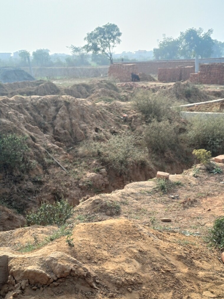 Garden, nacholi  72 Sq.Yd. Plot In Nacholi Faridabad 9764289