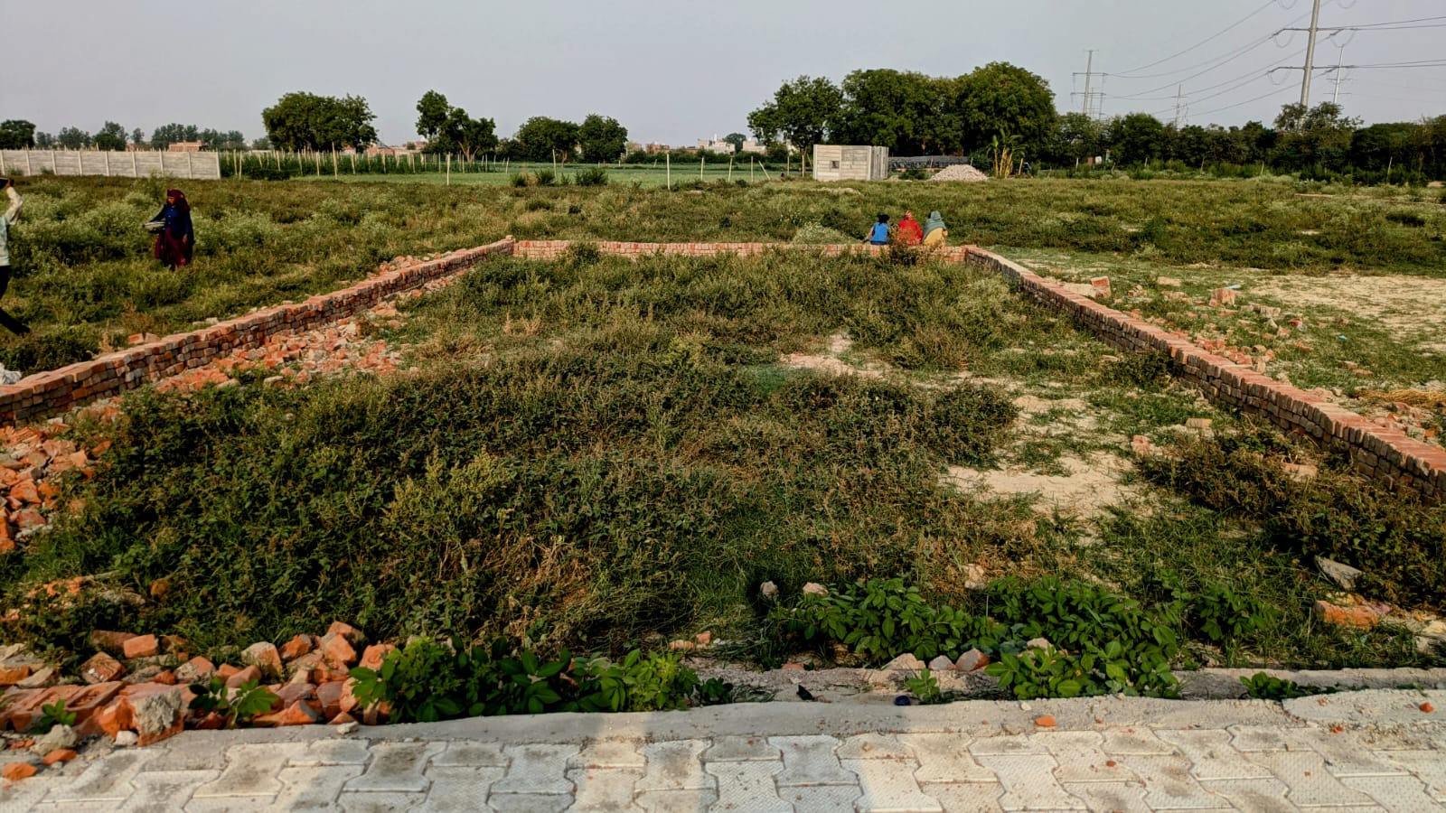 Plot Area in  Plot at ATS Pristine, Sector 150 – for Sale