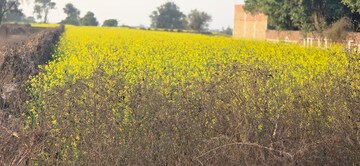  Land – Garden View at Jewar - for Sale