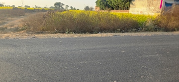 Plot Area in  Land at Jewar – for Sale