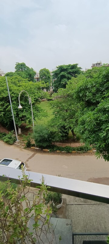 Plot Area in 3 BHK Apartment at Unitech Fresco, Sector 50 – for Rent