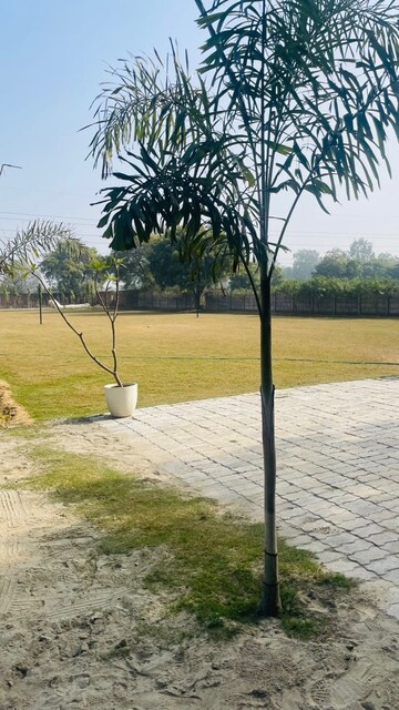  Plot – Exterior View View at Dhankot - for Sale