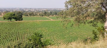 Plot Area in  Plot at Ghoti – for Sale