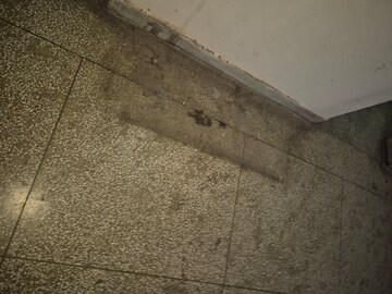 Furnished Amenities in 3.5 BHK Apartment at Mayur Vihar – for Rent