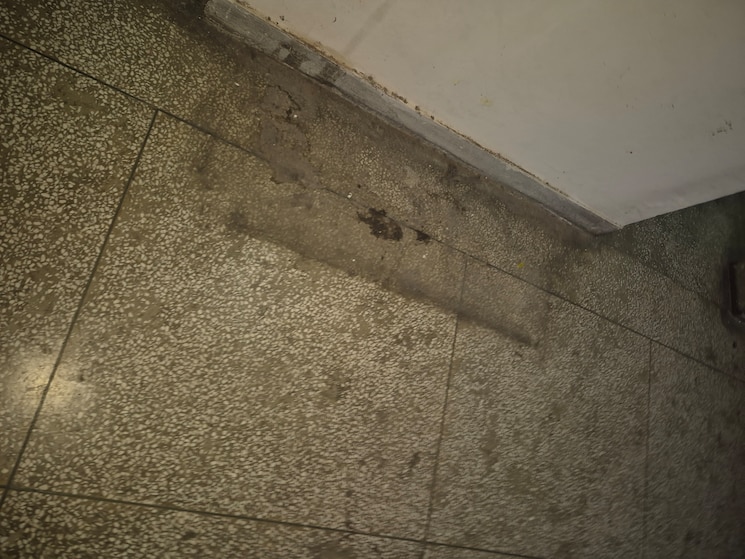 undefined, mayur vihar 3.5 Bedroom 1250 Sq.Ft. Apartment In Mayur Vihar Delhi 9765477