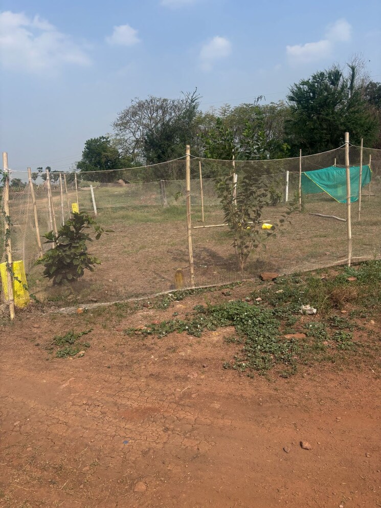 undefined, tadepalli  2400 Sq.Yd. Plot In Tadepalli Vijayawada 9766180