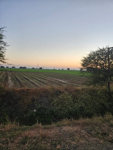 Plot Area in  Land at Paliya – for Sale