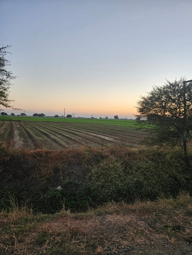 undefined, paliya Commercial Land 15000 Sq.Ft. In Paliya Indore 9766236