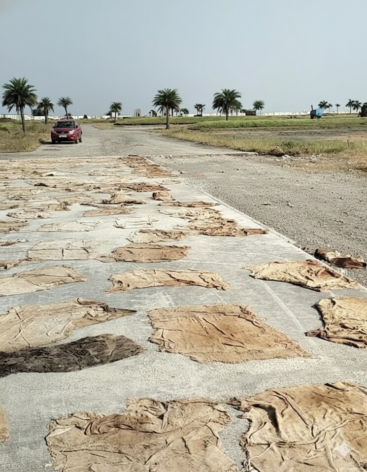 undefined, songir  1000 Sq.Ft. Plot In Songir Indore 9760991