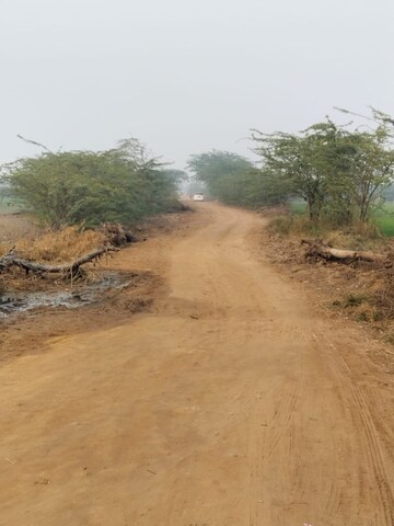 Plot Area in  Plot at Beldarichak – for Sale