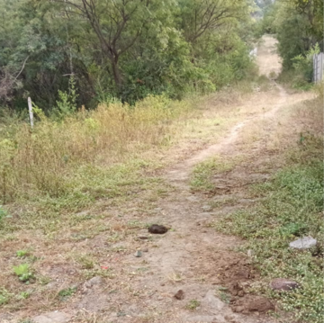  Plot For Rent in Sairung Samruddhi, Hinjewadi