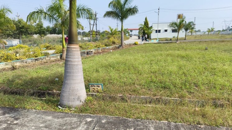 Garden, kolar  1200 Sq.Ft. Plot In Kolar Bangalore 9771572