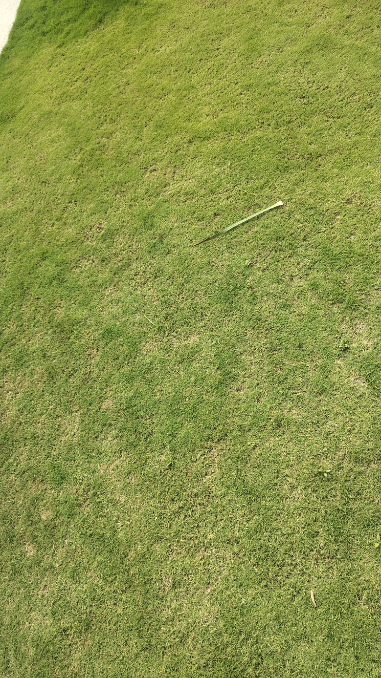 Garden, aditya-casa-grande 4 Bedroom 5174 Sq.Ft. Villa In Narsingi Hyderabad 9152860