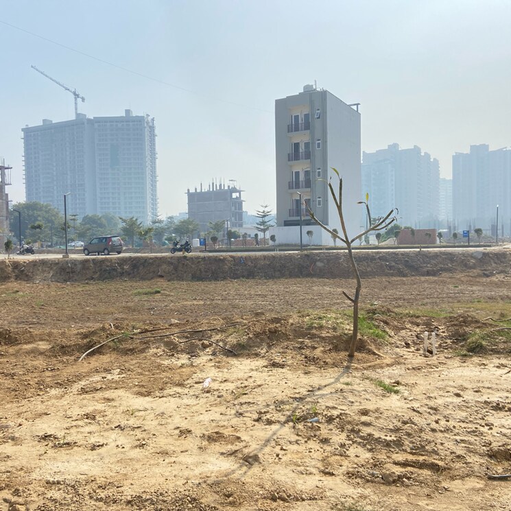 undefined, jms-the-nation  150 Sq.Yd. Plot In Sector 95 Gurgaon 9773175