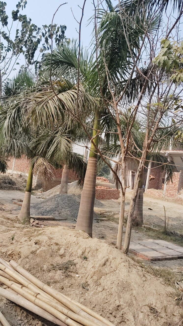 undefined, knowledge park ii greater noida  3600 Sq.Ft. Plot In Knowledge Park Ii Greater Noida Greater Noida 9773304