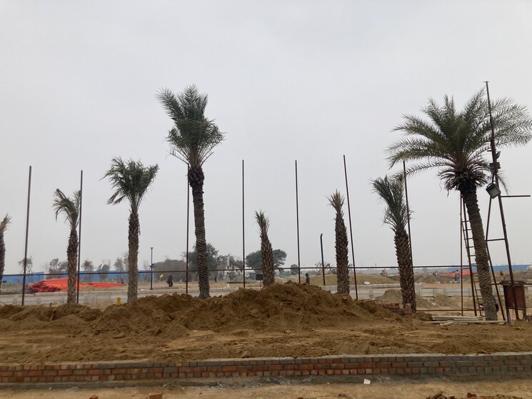 undefined, ats-province-d-olympia  275 Sq.Yd. Plot In Sector 22d Yamuna Expressway Greater Noida 9774538