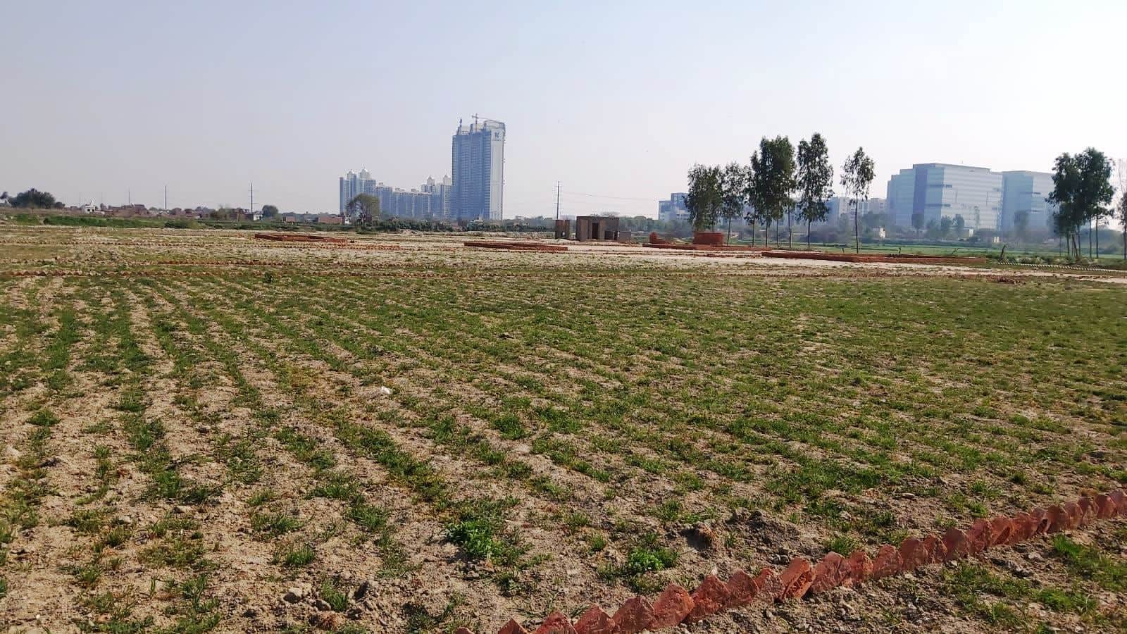 Plot Area in  Plot at Sector 150 – for Sale