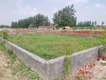 Plot Area in  Plot at Sector 150 – for Sale
