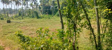  Plot – Garden View at Kaiparambu jn - for Sale