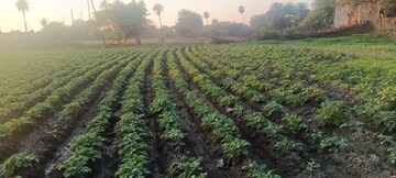 Plot Area in  Plot at Super Corridor – for Sale