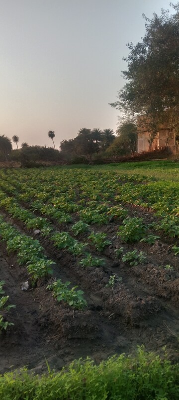 Plot Area in  Plot at Super Corridor – for Sale