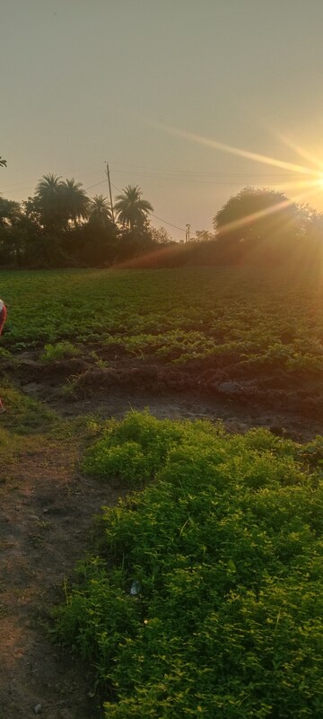  Plot For Sale in Super Corridor