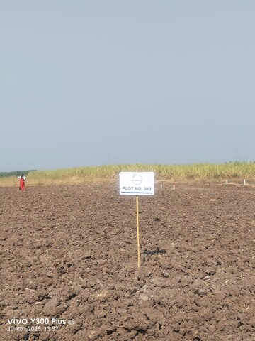  Plot For Sale in Wagholi