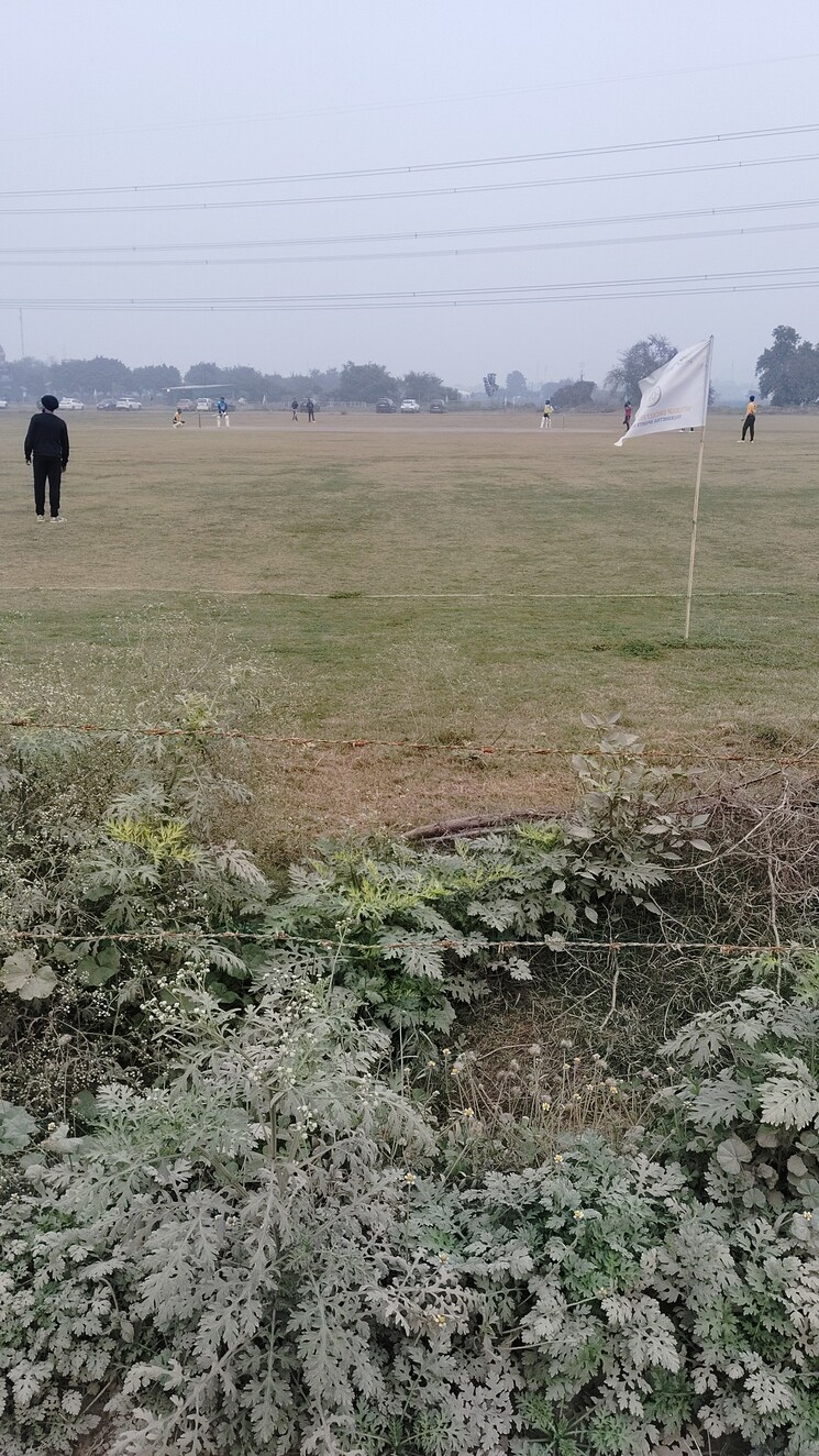 undefined, sector 150 Commercial Land 2 Acre In Sector 150 Noida 9773978