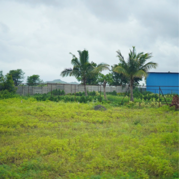  Plot For Sale in Wagholi