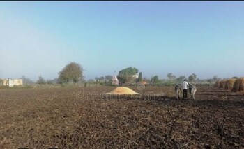 Industrial Plot for Sale in Deva Road, Lucknow