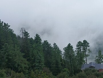 6 BHK Independent House For Sale in Mashobra