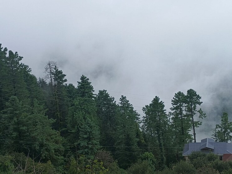 Cover Image, mashobra 6 Bedroom 3500 Sq.Ft. Independent House In Mashobra Shimla 9774674