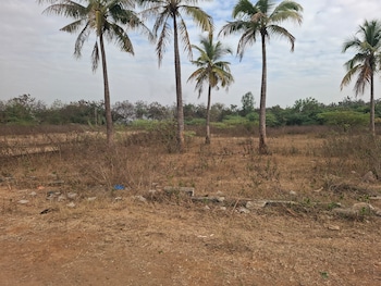 Plot for Sale in Sangareddy, Hyderabad
