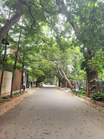 Plot Area in  Plot at Defence Colony – for Sale