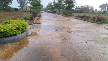 Plot Area in  Plot at Anekal – for Sale