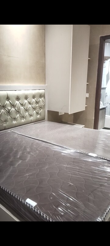 1 BHK Builder Floor For Rent in Sector 55