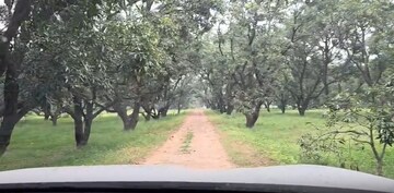  Land For Sale in Sikandrabad