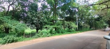 Plot Area in  Land at Athani – for Sale