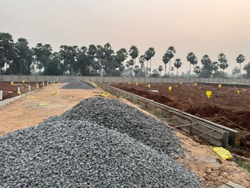 MVD Residency