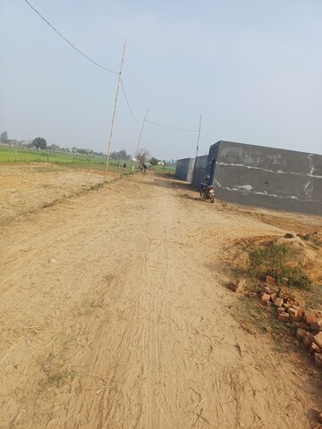 Plot Area in  Plot at Nacholi – for Sale