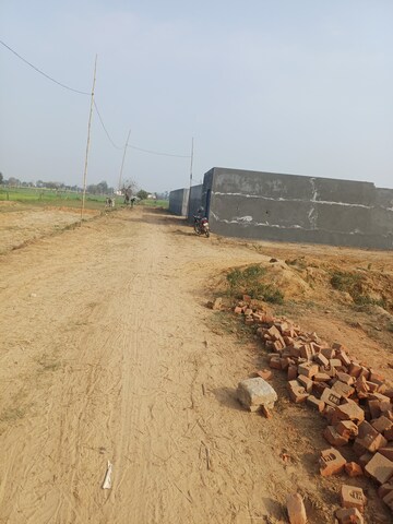 Plot Area in  Plot at Nacholi – for Sale