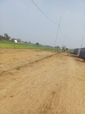 Plot Area in  Plot at Nacholi – for Sale