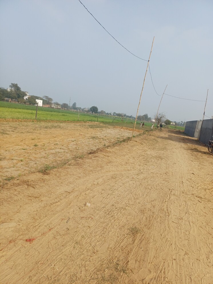 undefined, nacholi  79 Sq.Yd. Plot In Nacholi Faridabad 9780683